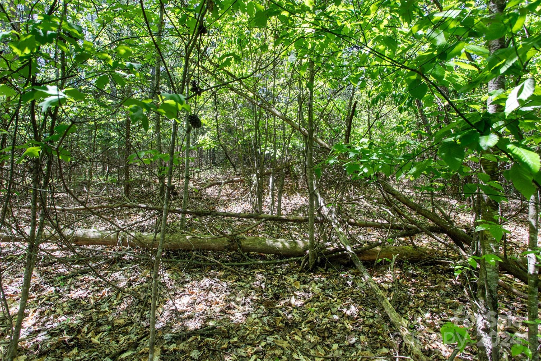 99999 Hickory Loop Rutherfordton NC 28139