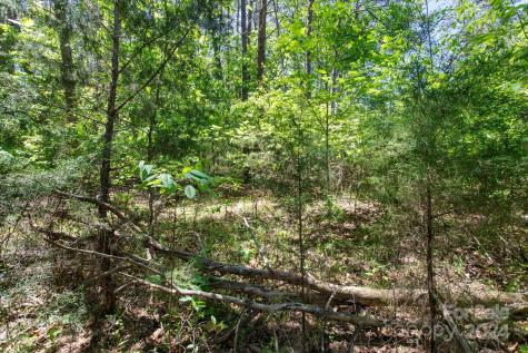 99999 Hickory Loop Rutherfordton NC 28139