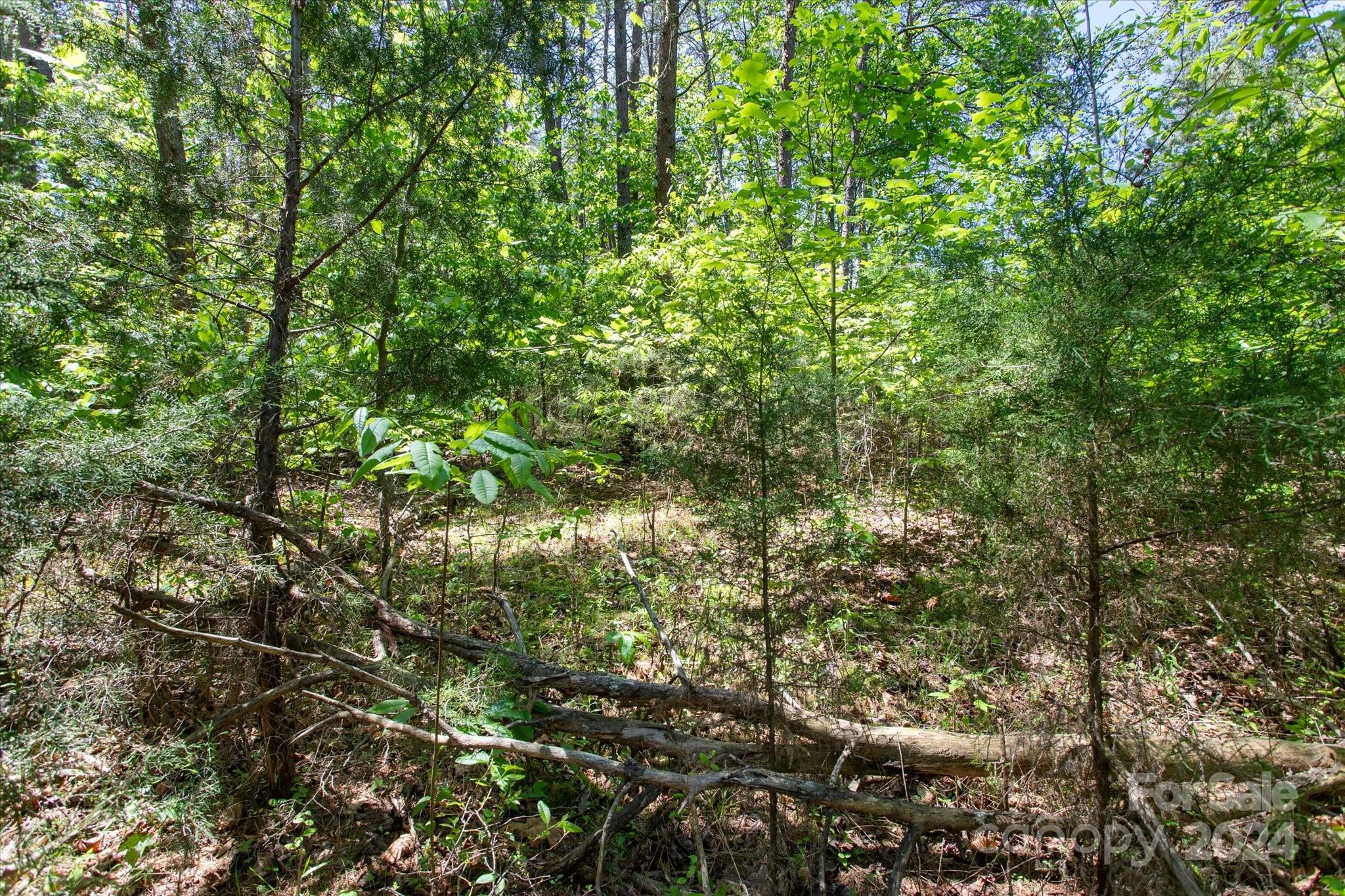99999 Hickory Loop Rutherfordton NC 28139
