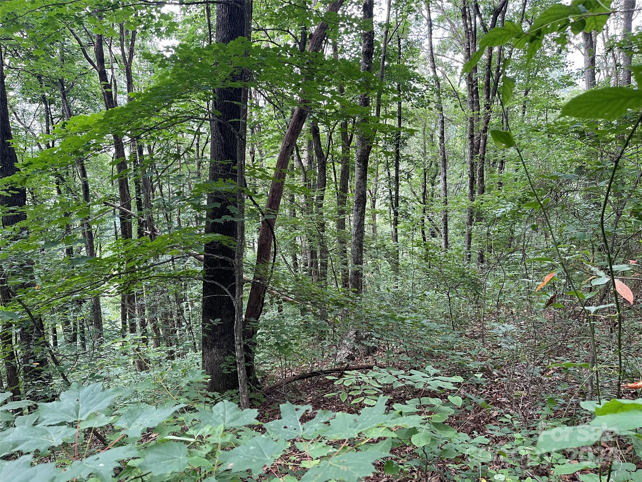 0000 Silverleaf Circle Waynesville NC 28786