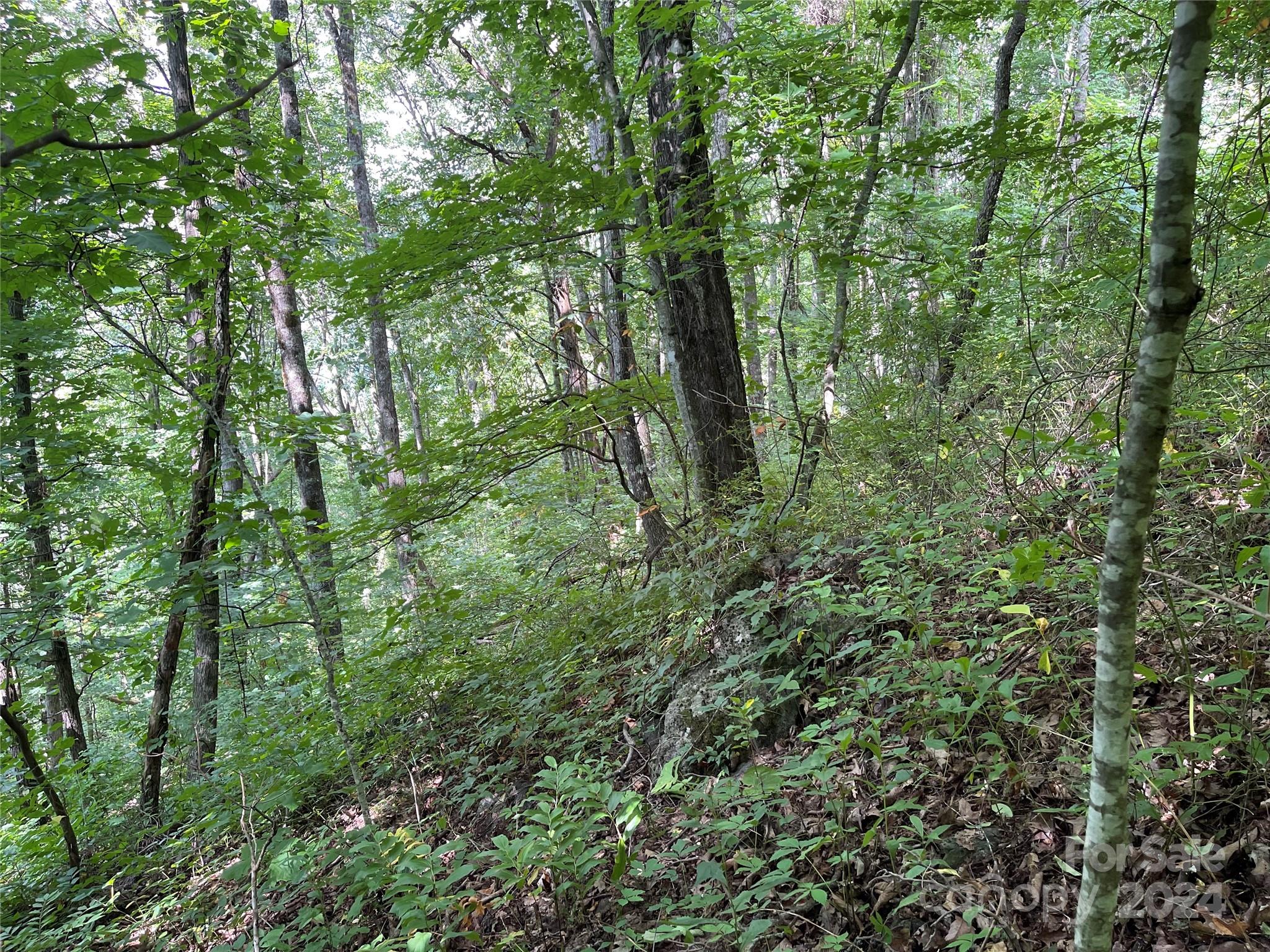 0000 Silverleaf Circle Waynesville NC 28786