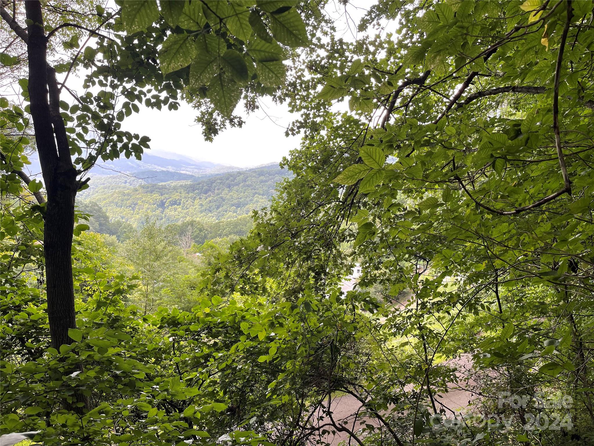 0000 Silverleaf Circle Waynesville NC 28786