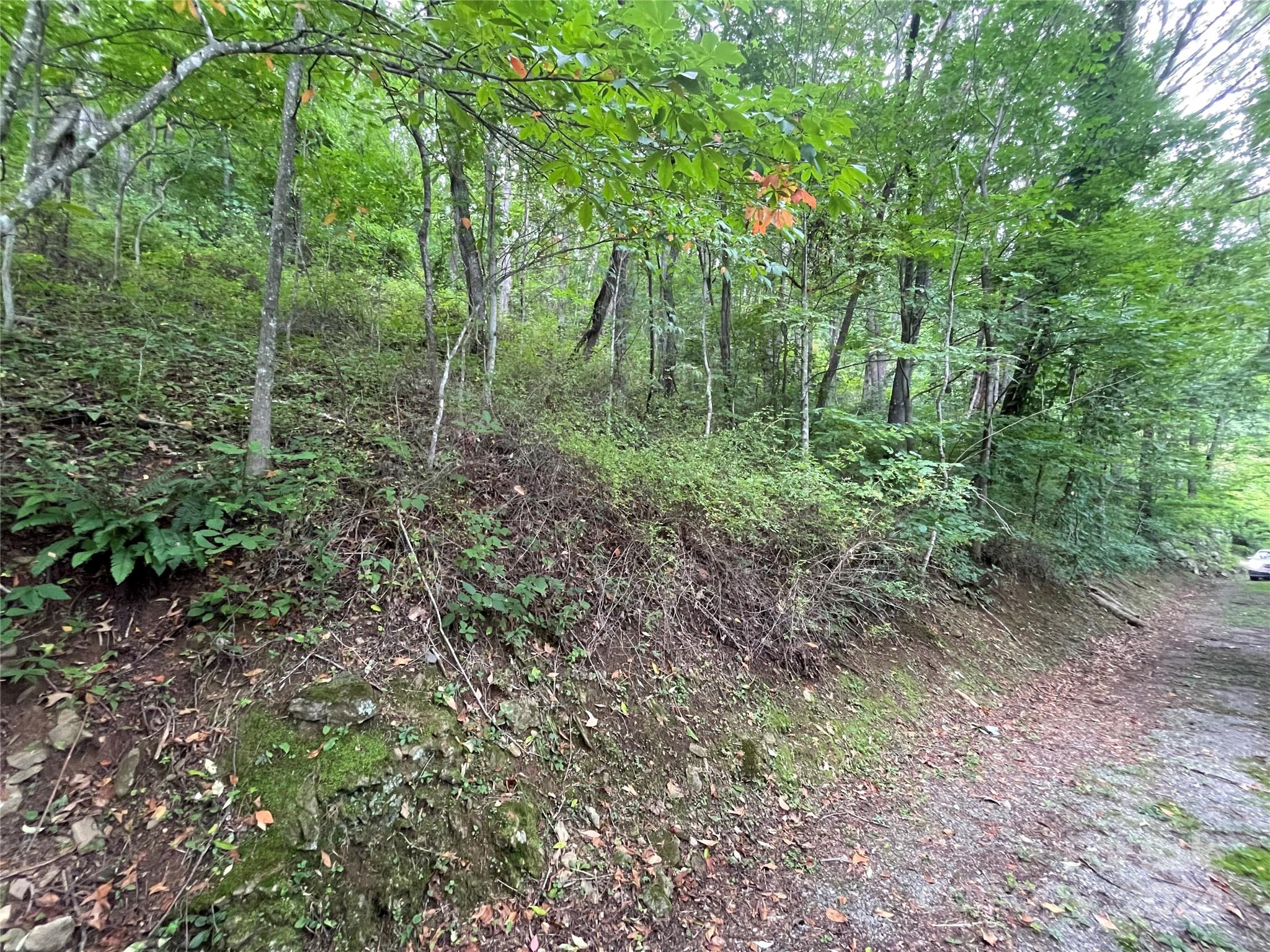 0000 Silverleaf Circle Waynesville NC 28786