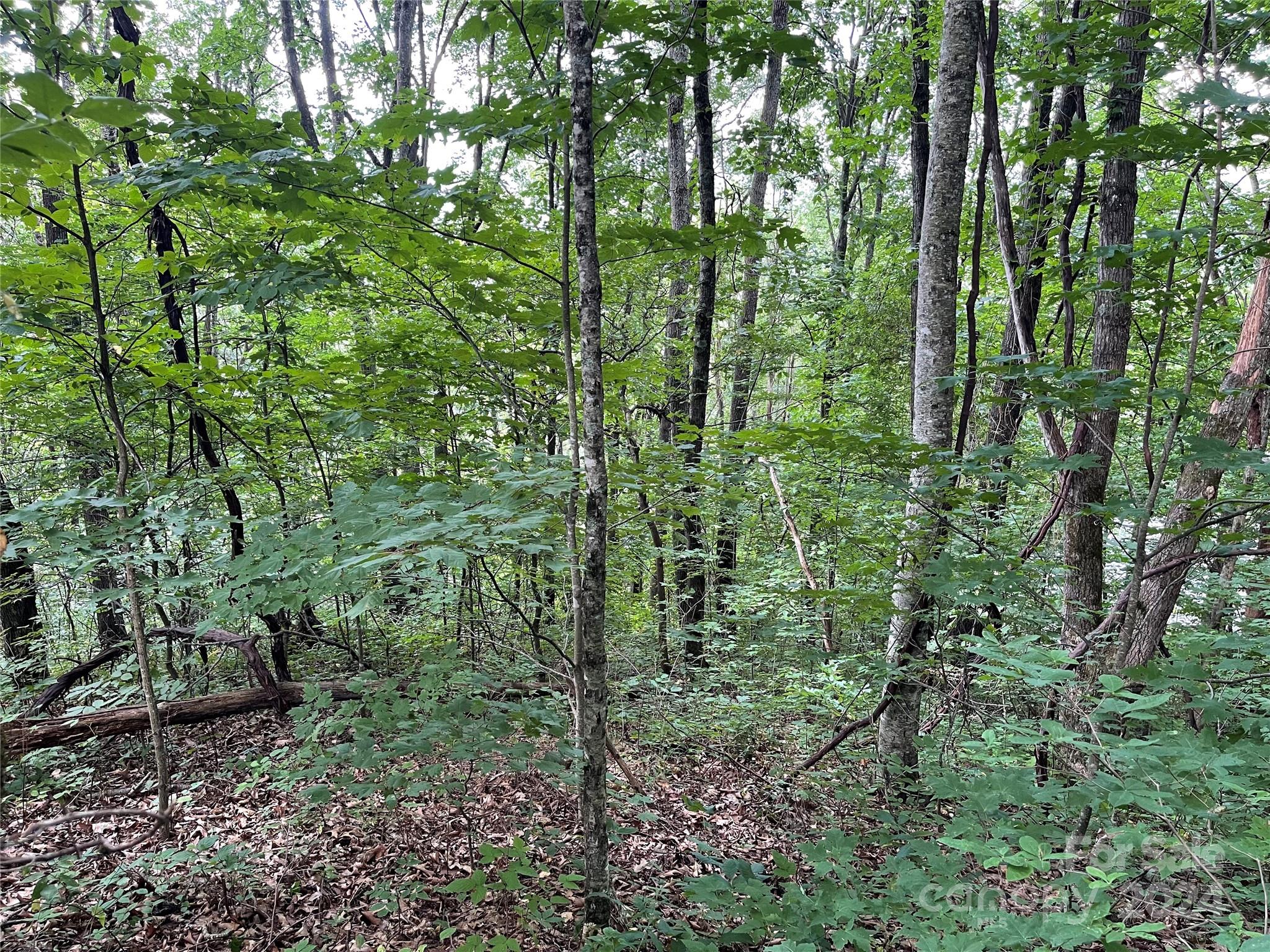 0000 Silverleaf Circle Waynesville NC 28786