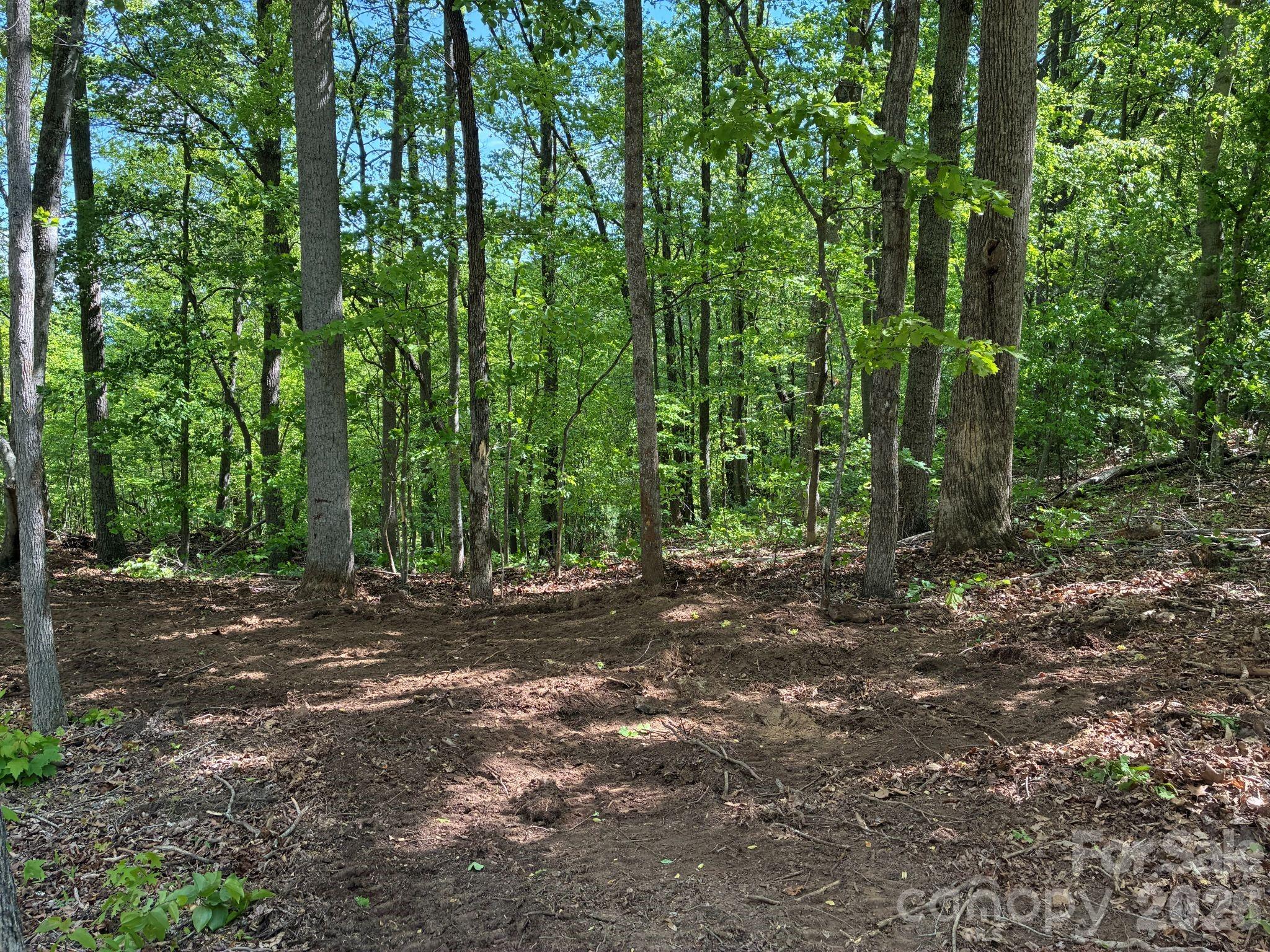 108 High Top Mountain Road Leicester NC 28748
