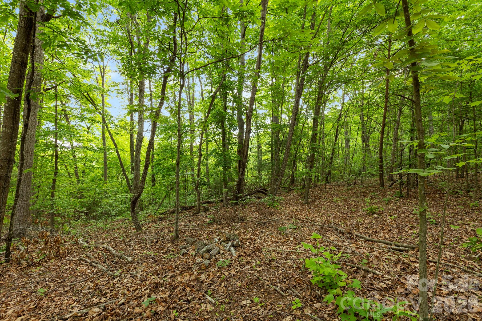 108 High Top Mountain Road Leicester NC 28748