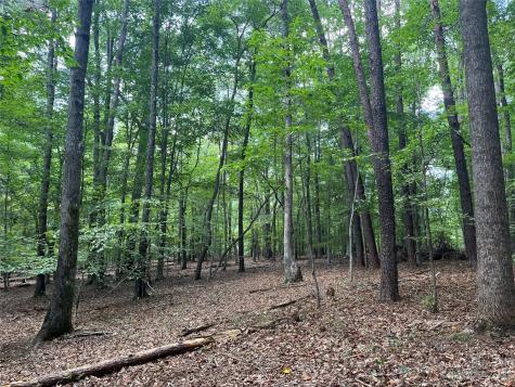 0 Fox Mountain Road Columbus NC 28722