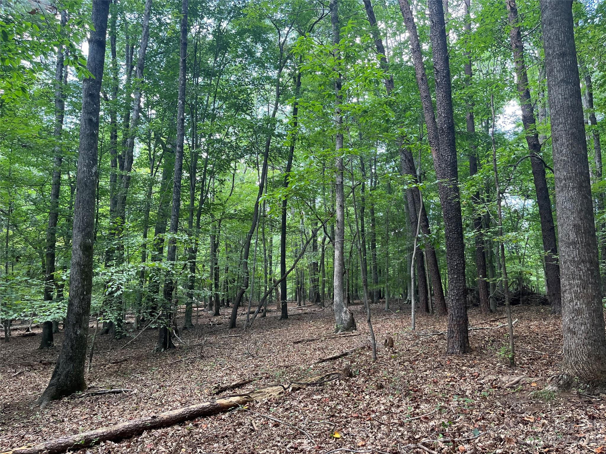0 Fox Mountain Road Columbus NC 28722