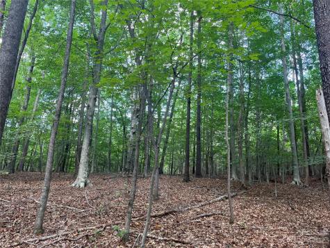 0 Fox Mountain Road Columbus NC 28722