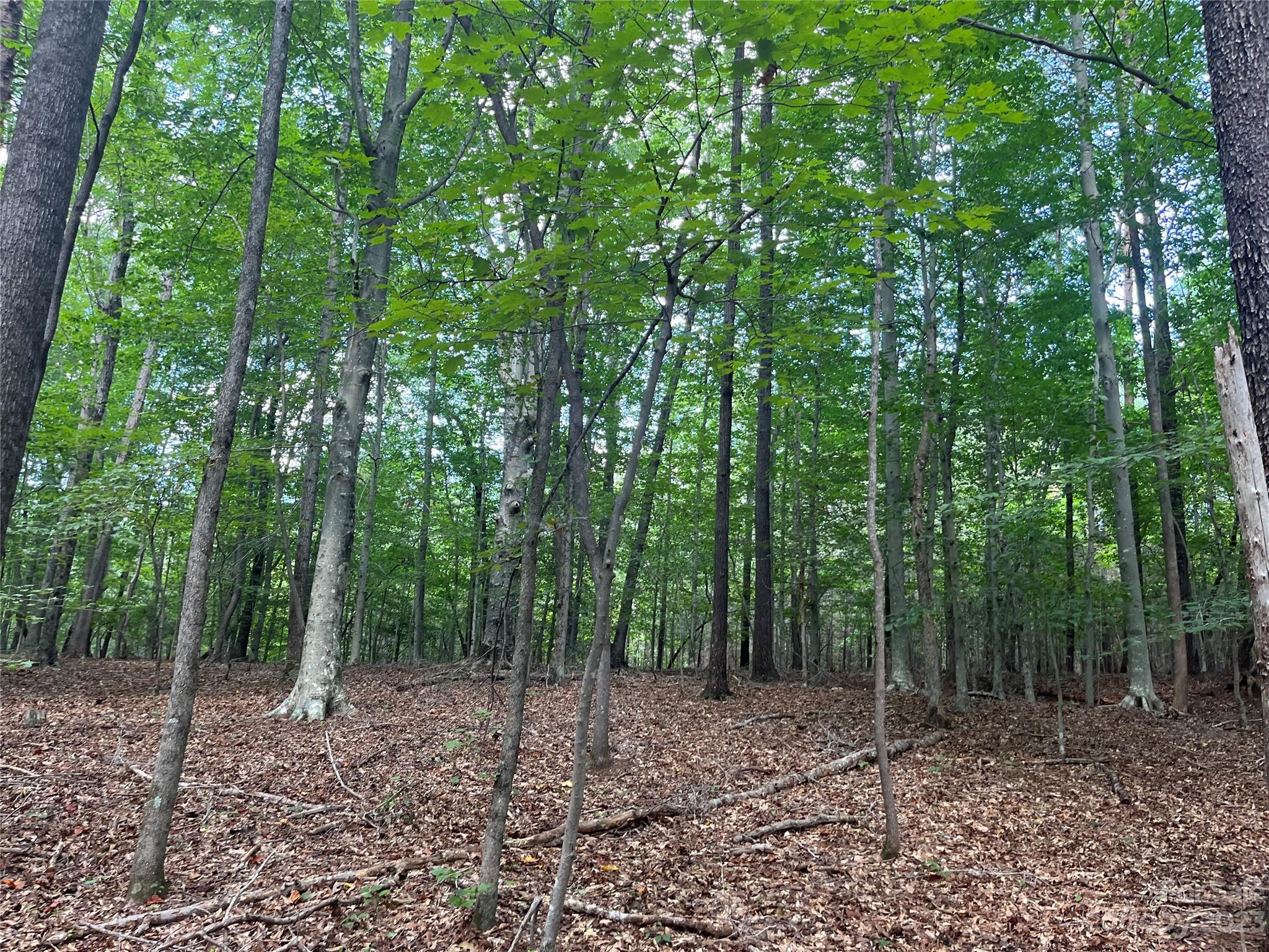0 Fox Mountain Road Columbus NC 28722