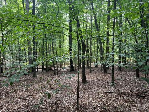 0 Fox Mountain Road Columbus NC 28722