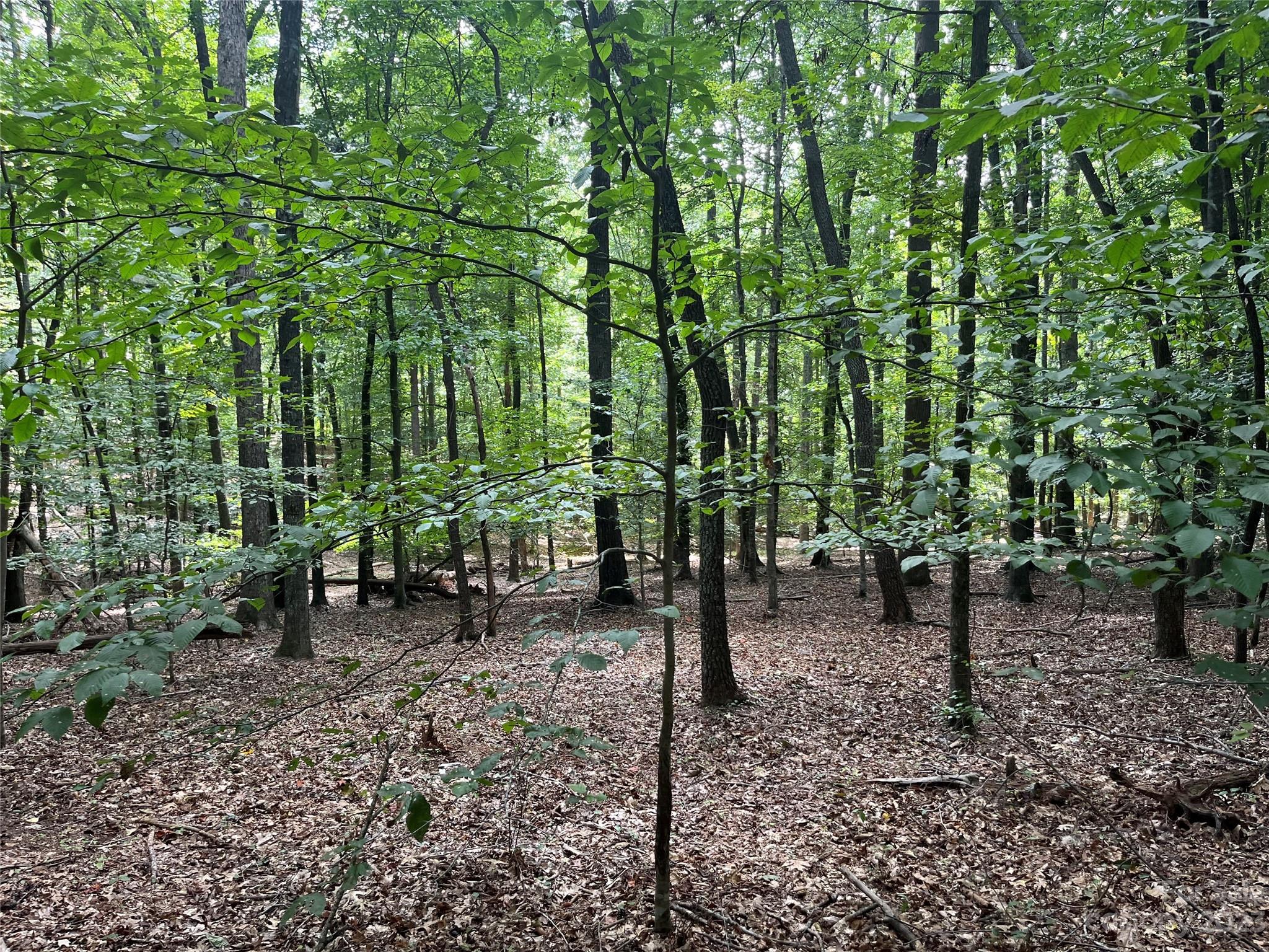 0 Fox Mountain Road Columbus NC 28722