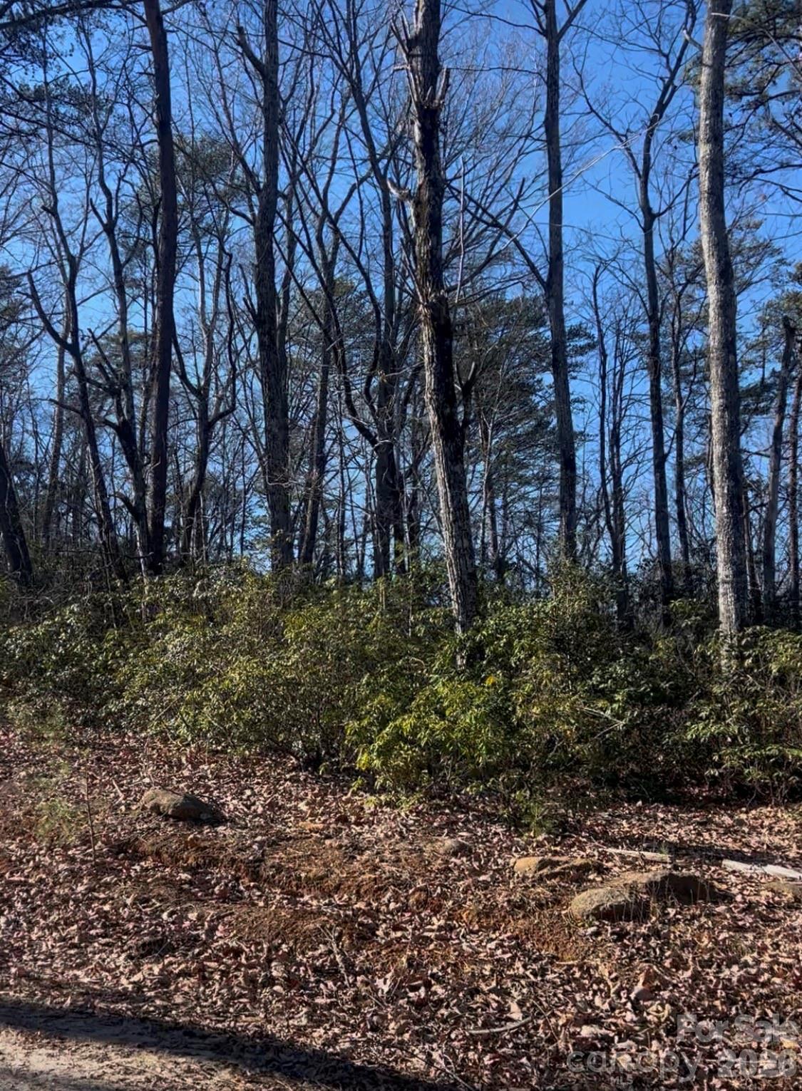 0 Ridgecrest Drive Lake Lure NC 28746