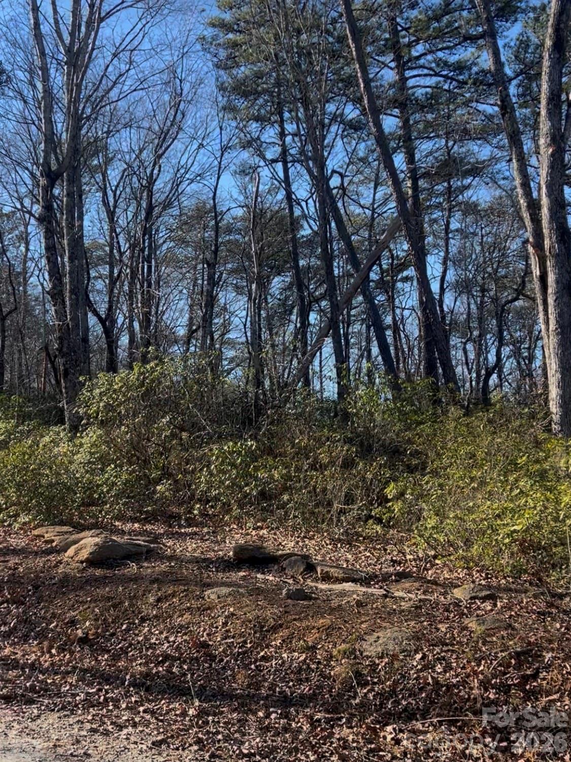0 Ridgecrest Drive Lake Lure NC 28746