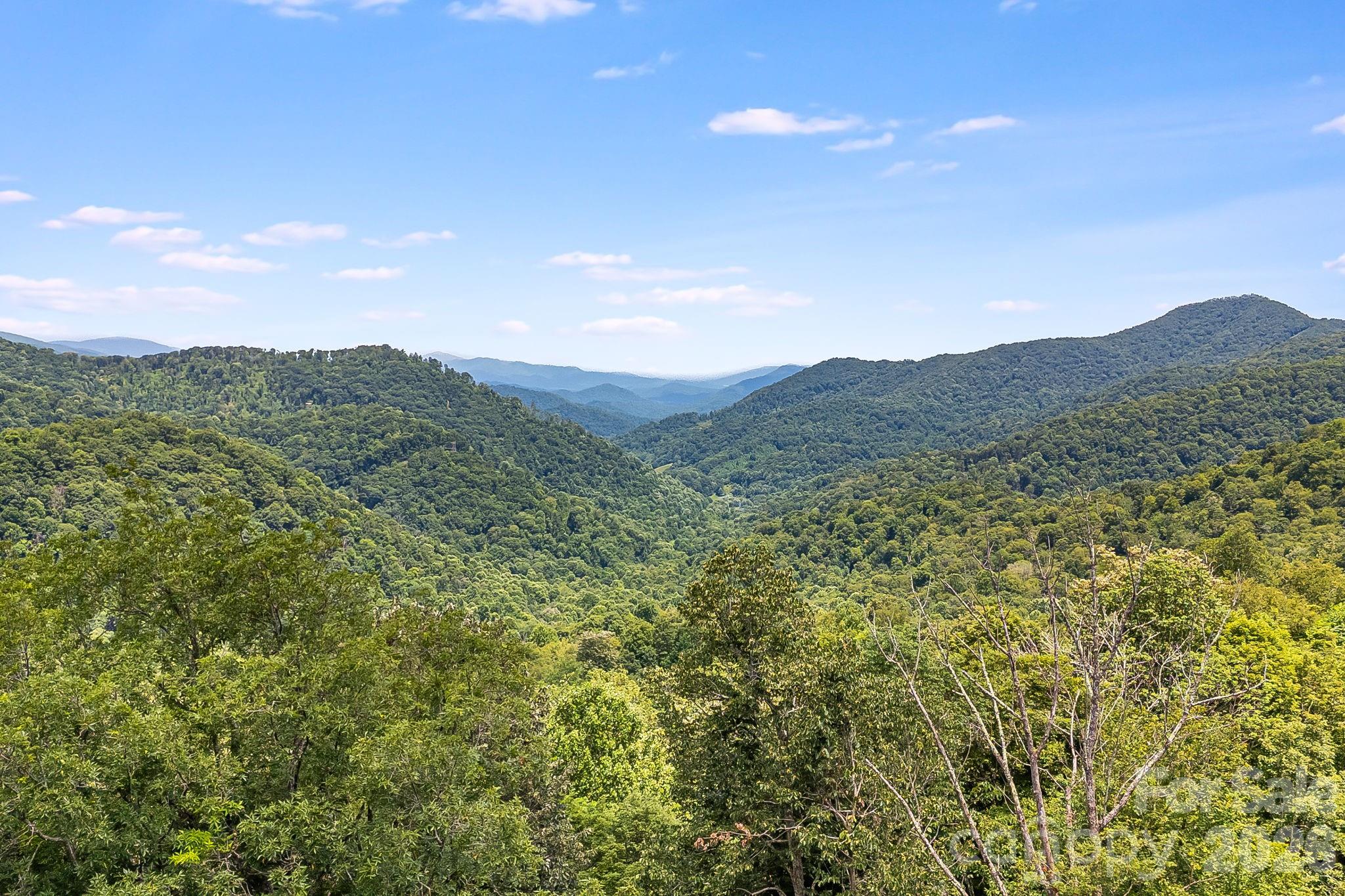 1617 Mountain Gait Drive Mars Hill NC 28754