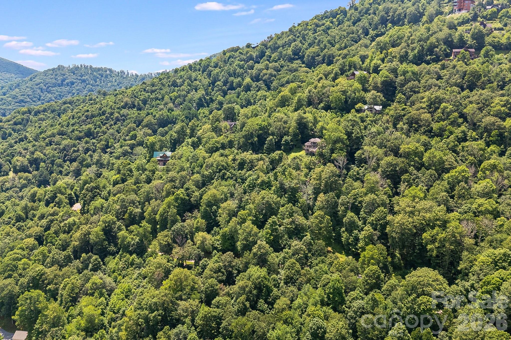1617 Mountain Gait Drive Mars Hill NC 28754