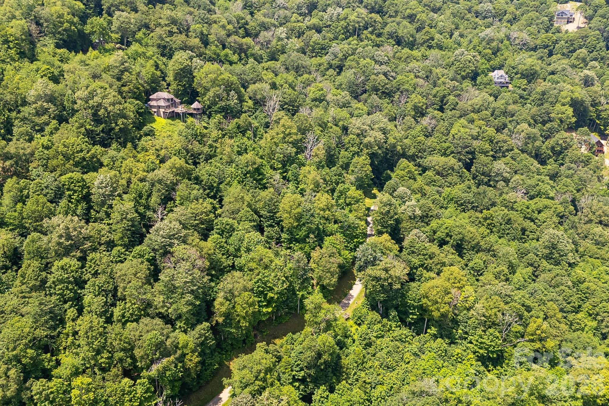 1617 Mountain Gait Drive Mars Hill NC 28754