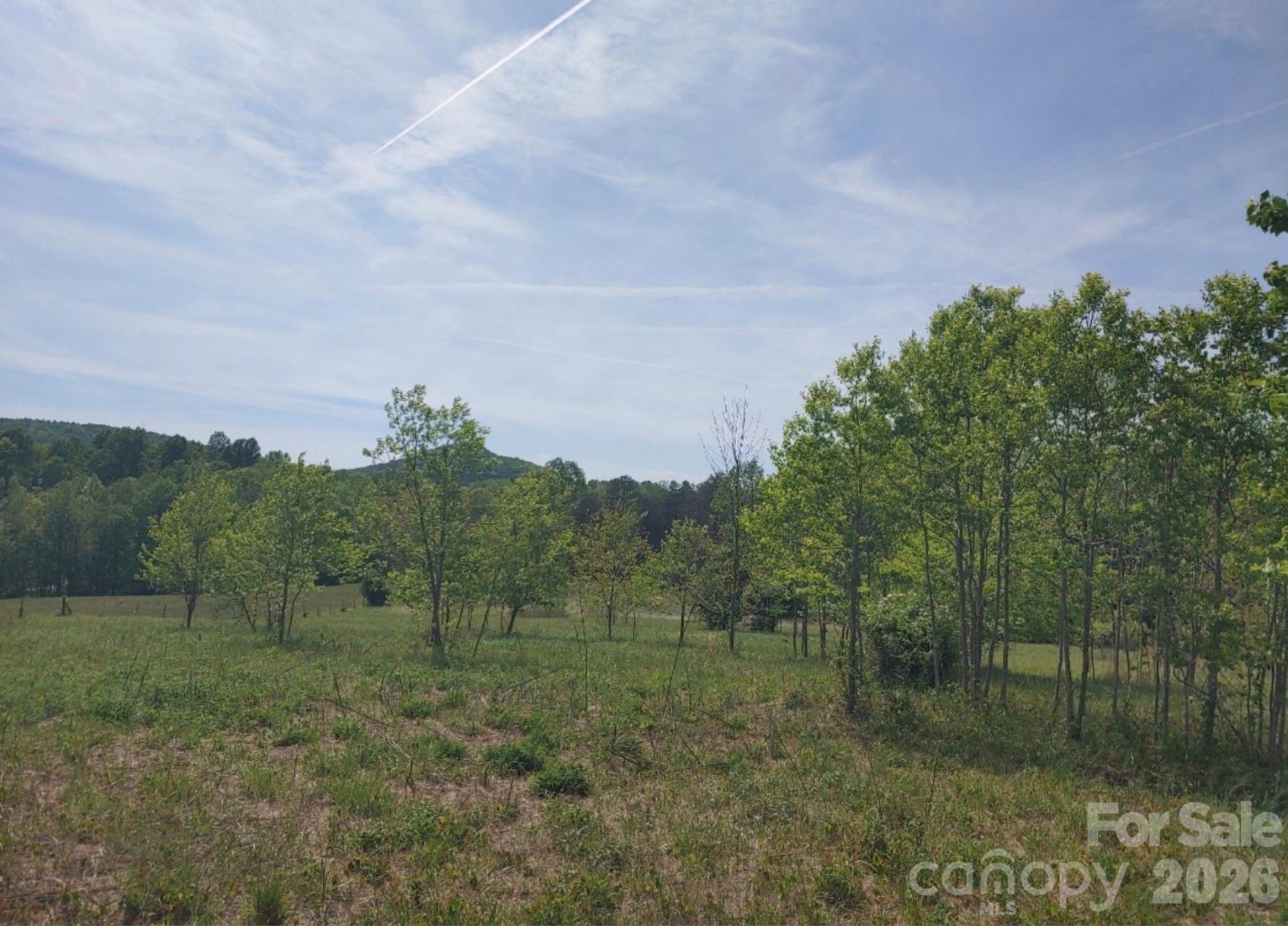 Off Landis Lane Nebo NC 28761