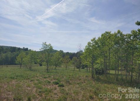 Off Landis Lane Nebo NC 28761