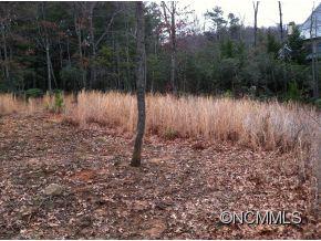1926 White Tree Trail Arden NC 28704