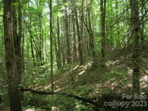 Lot 19 Sunkota Trail Bryson City NC 28713