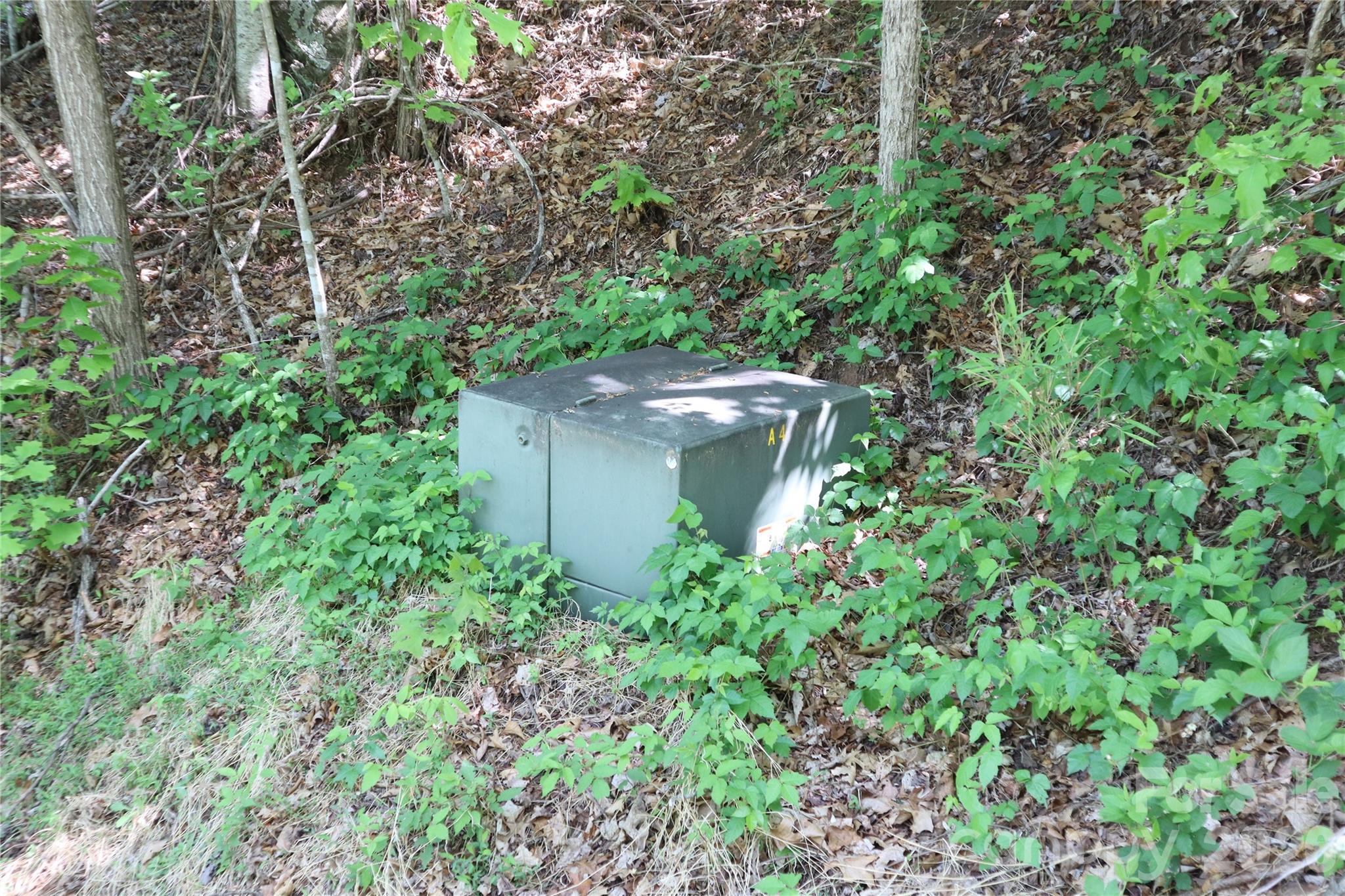 841 Laurel Spring Drive Bryson City NC 28713