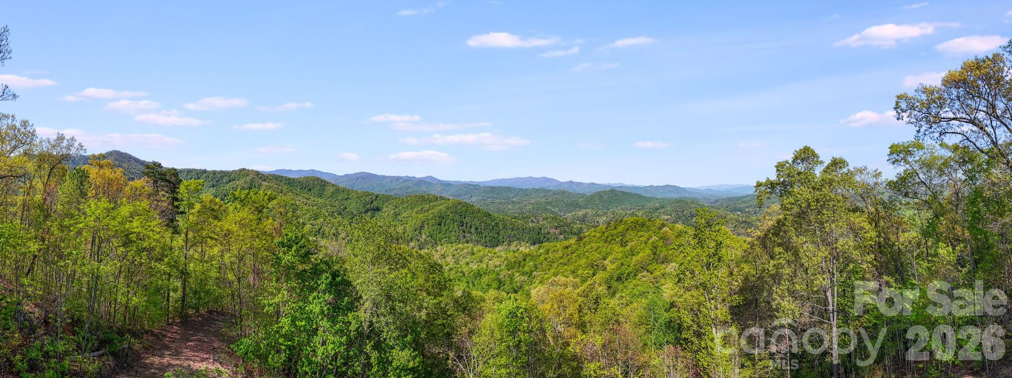 841 Laurel Spring Drive Bryson City NC 28713