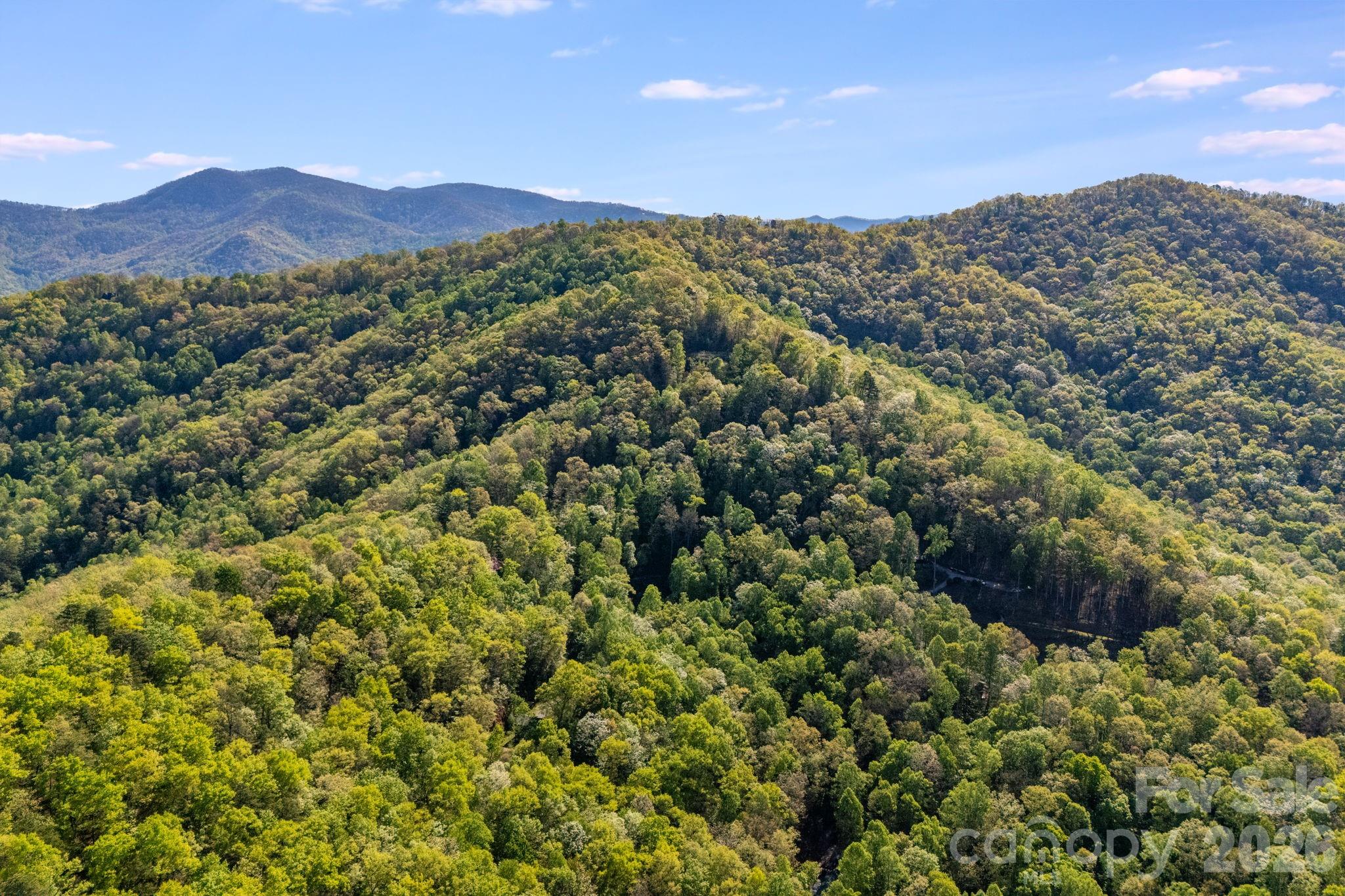 841 Laurel Spring Drive Bryson City NC 28713