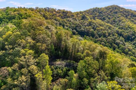841 Laurel Spring Drive Bryson City NC 28713