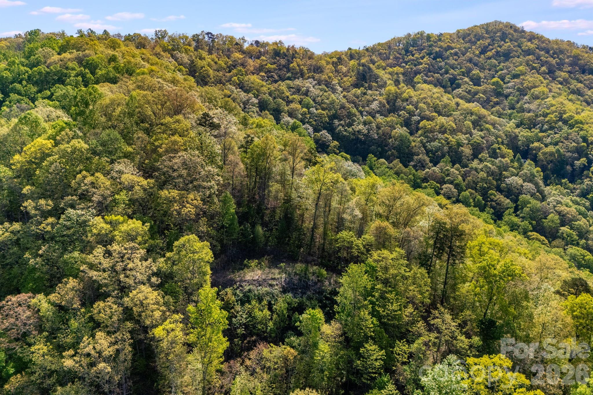 841 Laurel Spring Drive Bryson City NC 28713