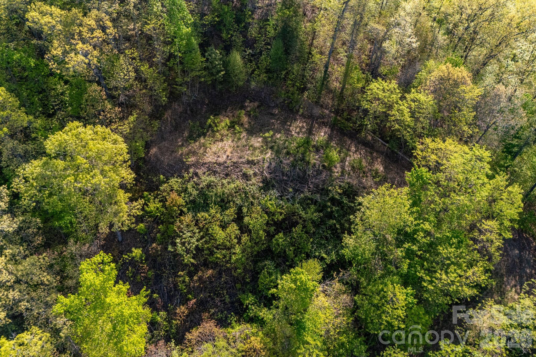 841 Laurel Spring Drive Bryson City NC 28713