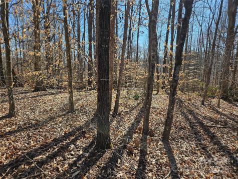 0 General Griffith Circle Rutherfordton NC 28139