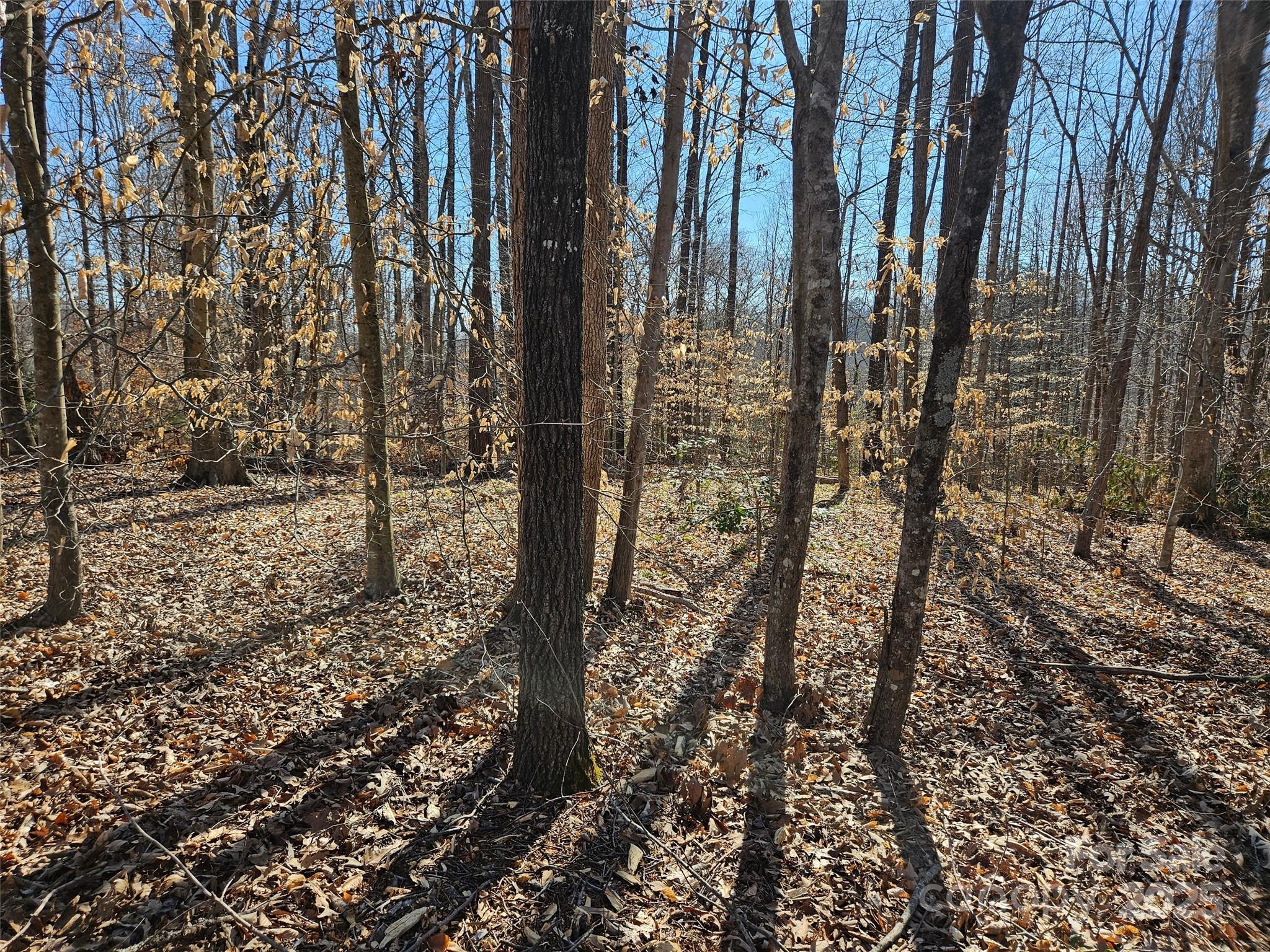 0 General Griffith Circle Rutherfordton NC 28139