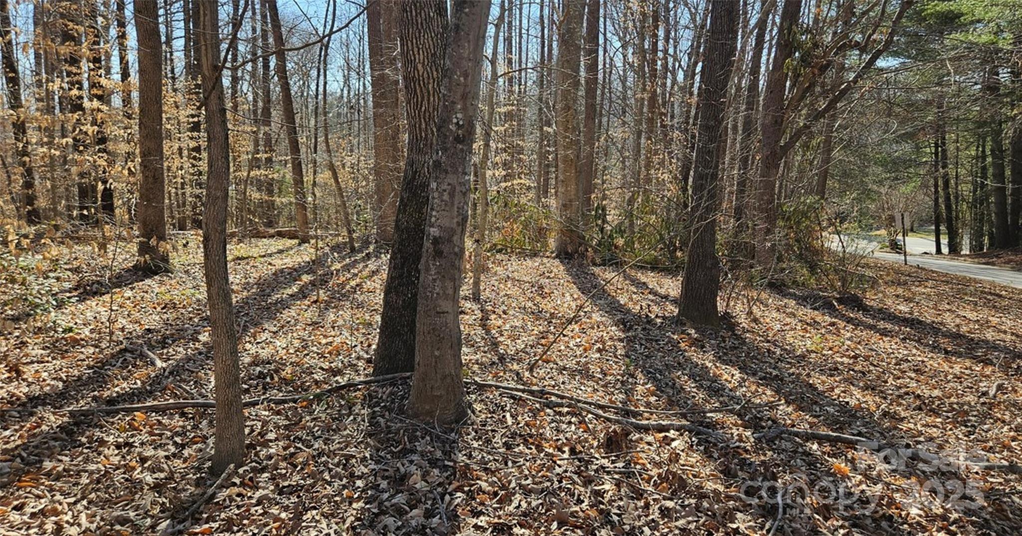 0 General Griffith Circle Rutherfordton NC 28139