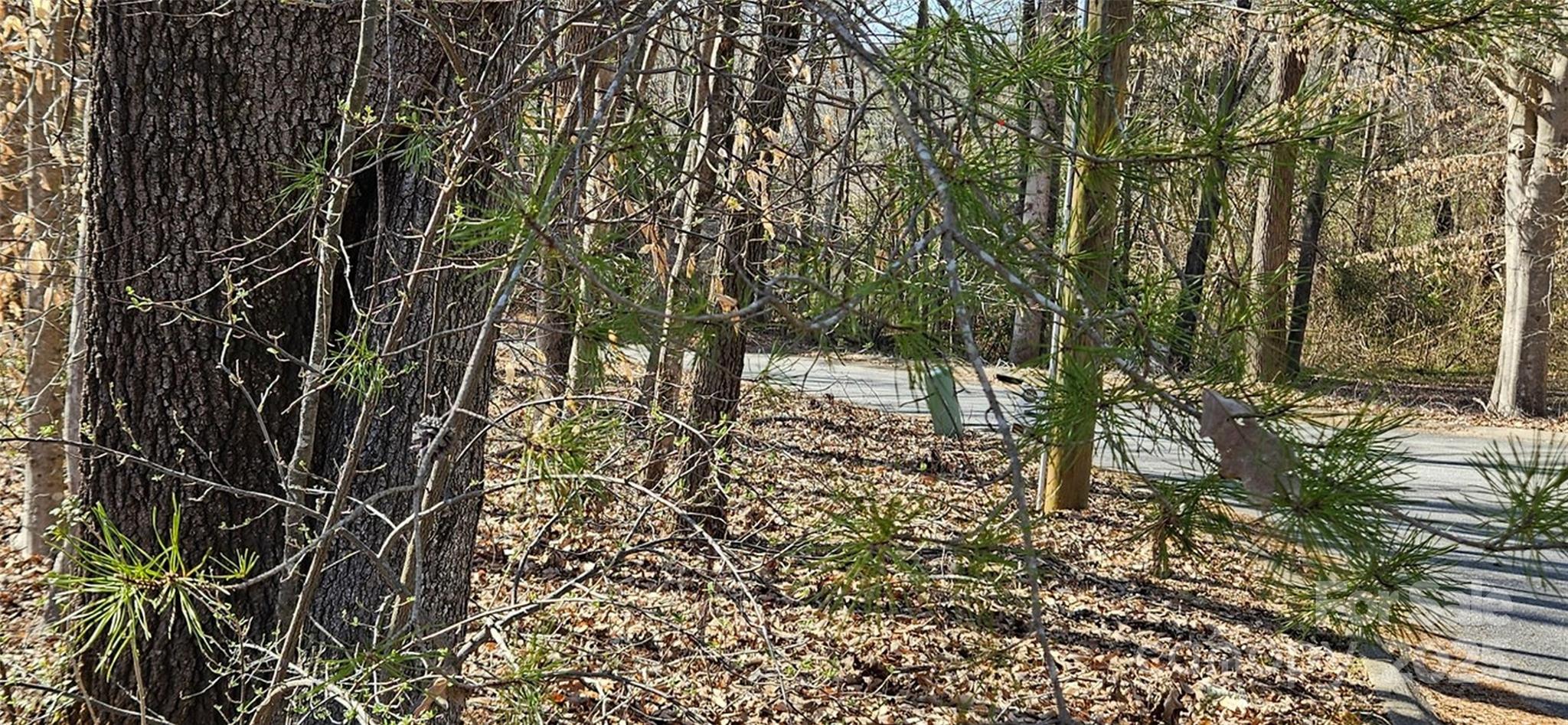 0 General Griffith Circle Rutherfordton NC 28139