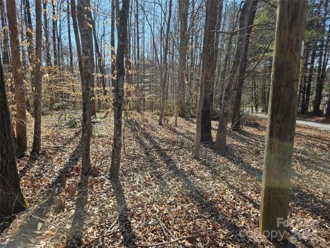 0 General Griffith Circle Rutherfordton NC 28139