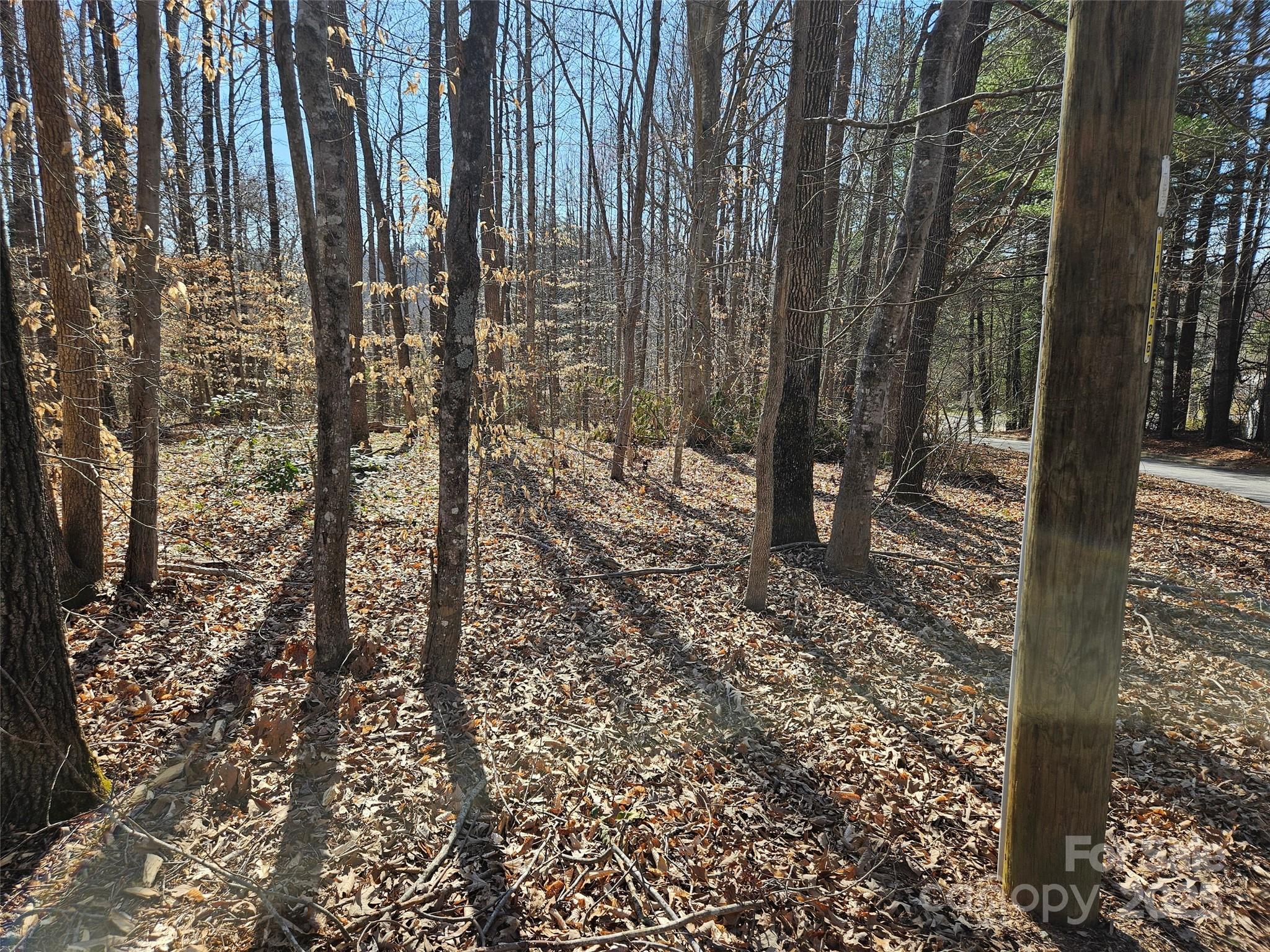 0 General Griffith Circle Rutherfordton NC 28139
