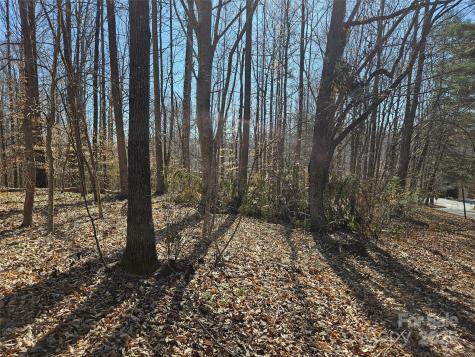 0 General Griffith Circle Rutherfordton NC 28139