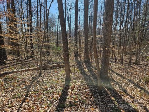 0 General Griffith Circle Rutherfordton NC 28139