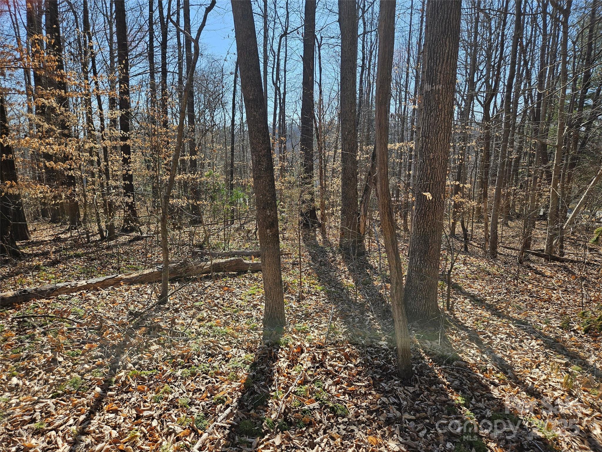 0 General Griffith Circle Rutherfordton NC 28139