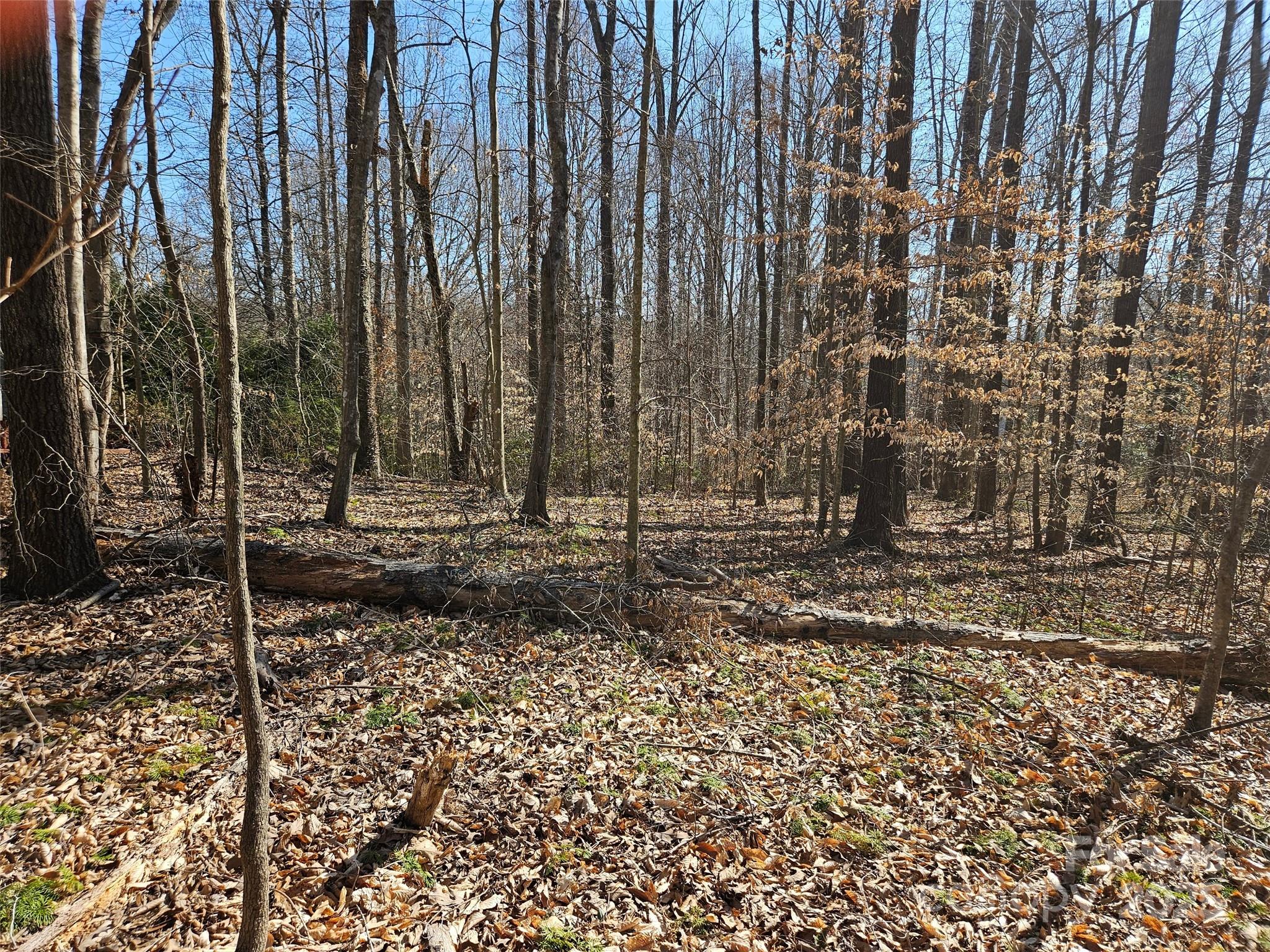 0 General Griffith Circle Rutherfordton NC 28139