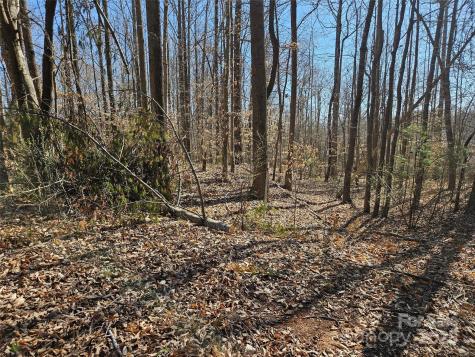 0 General Griffith Circle Rutherfordton NC 28139