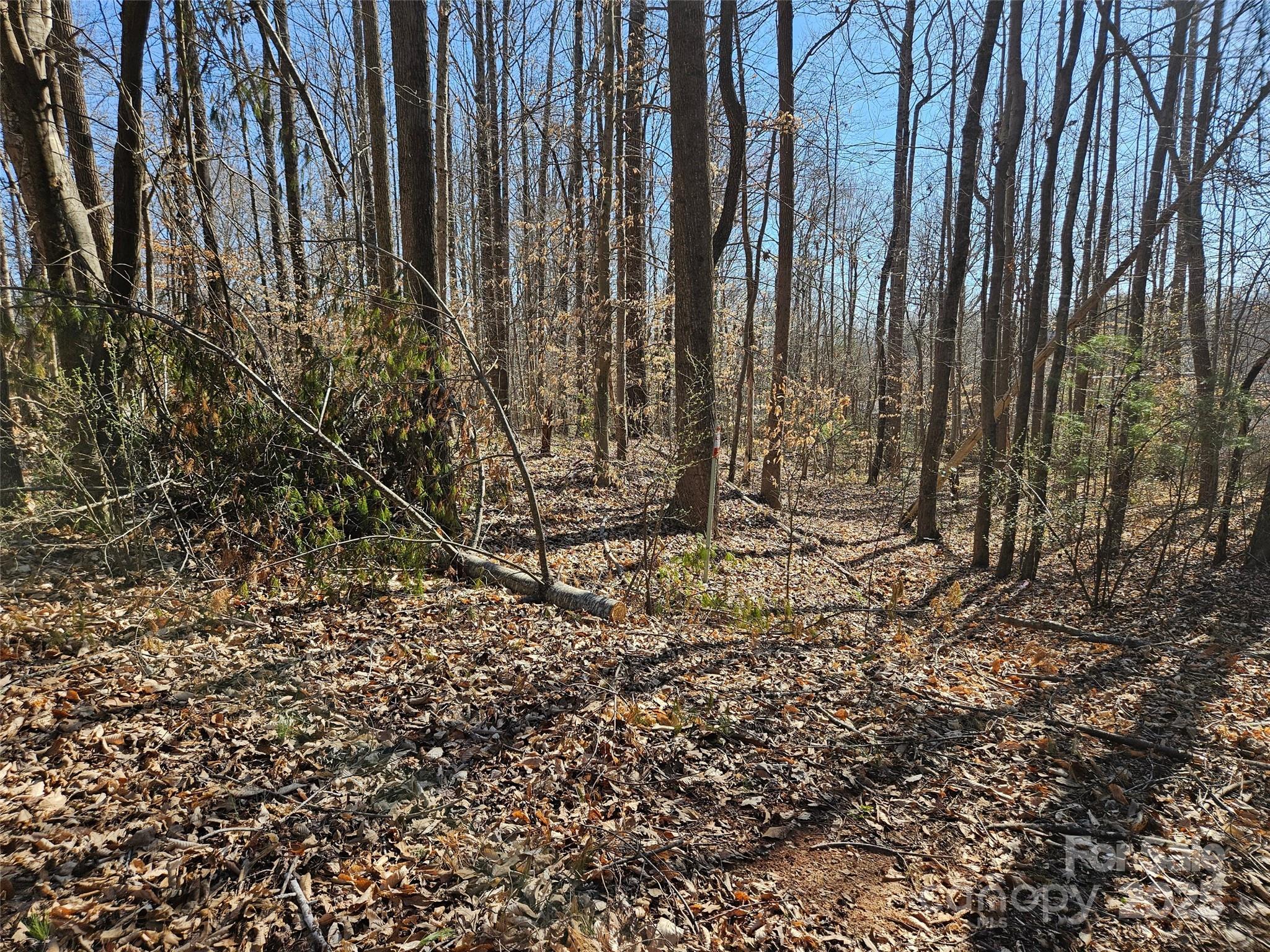 0 General Griffith Circle Rutherfordton NC 28139