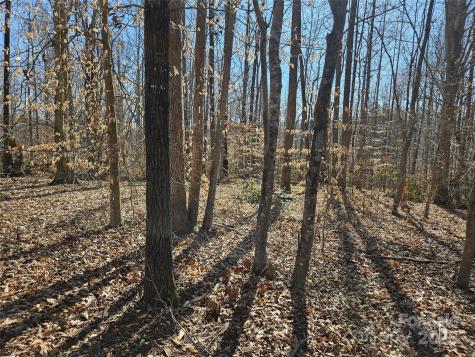 0 General Griffith Circle Rutherfordton NC 28139