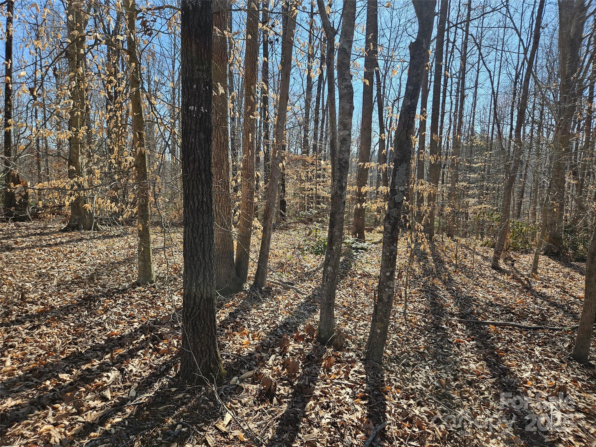 0 General Griffith Circle Rutherfordton NC 28139