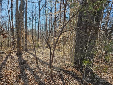 0 General Griffith Circle Rutherfordton NC 28139