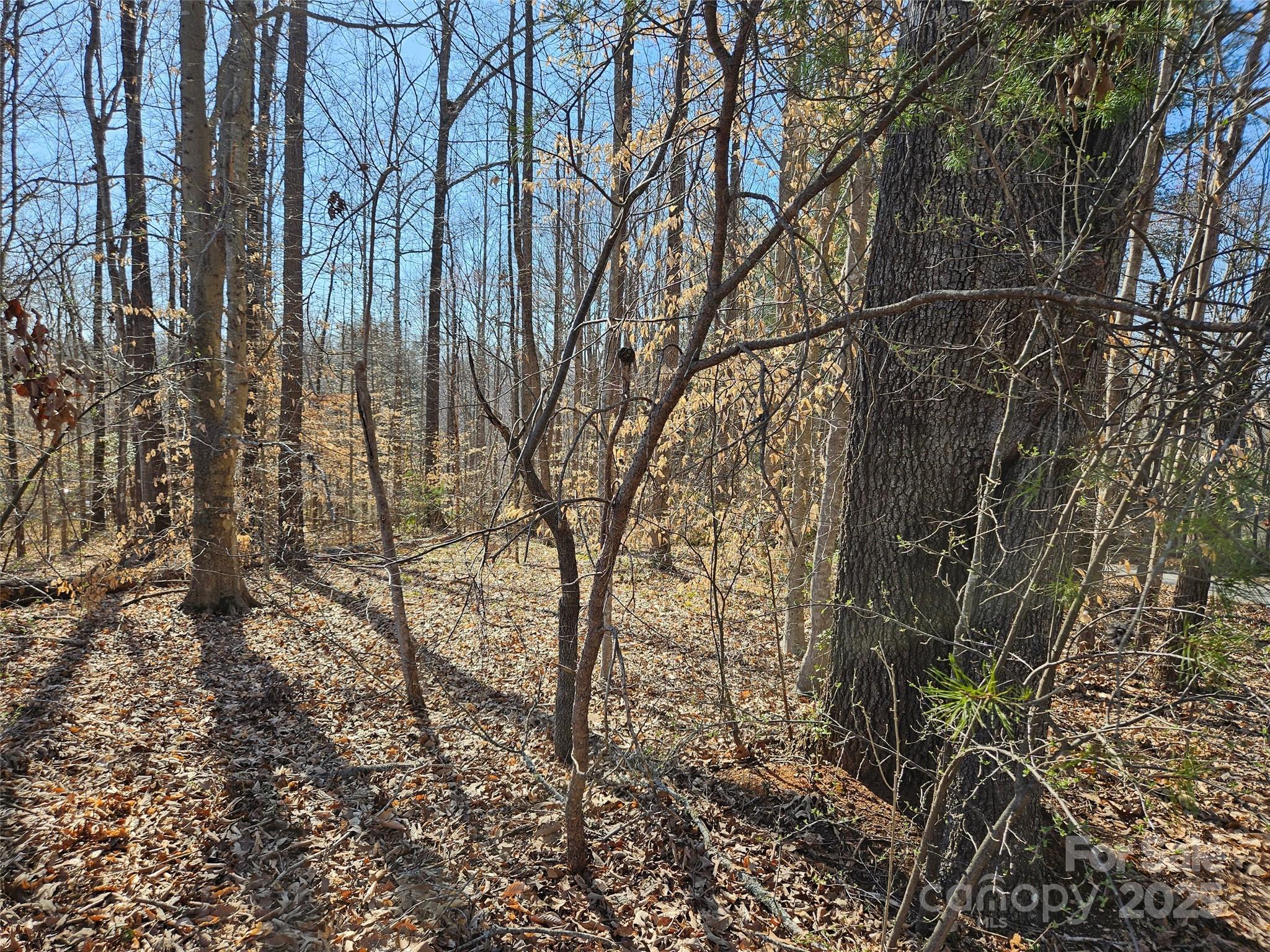0 General Griffith Circle Rutherfordton NC 28139