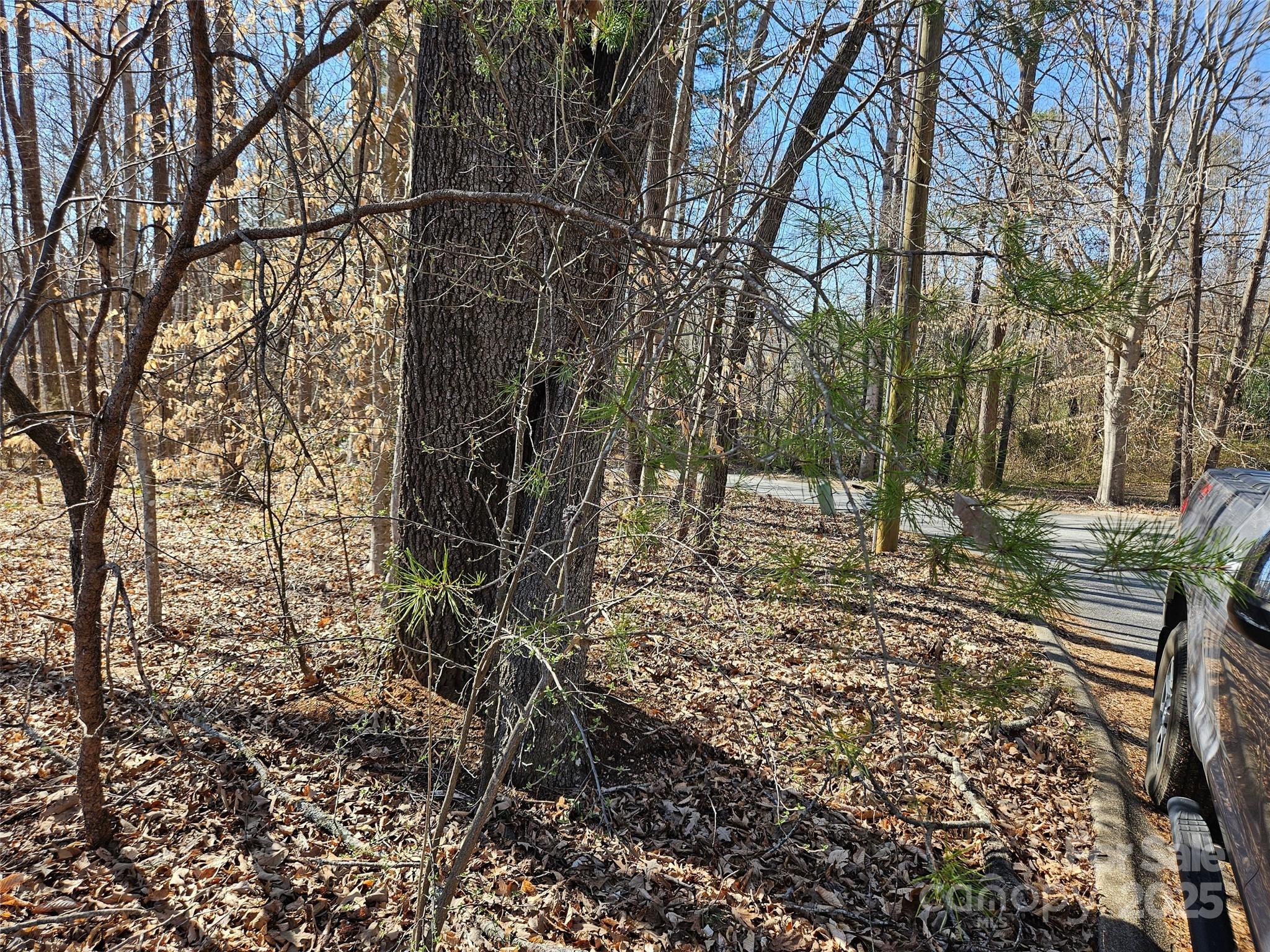 0 General Griffith Circle Rutherfordton NC 28139