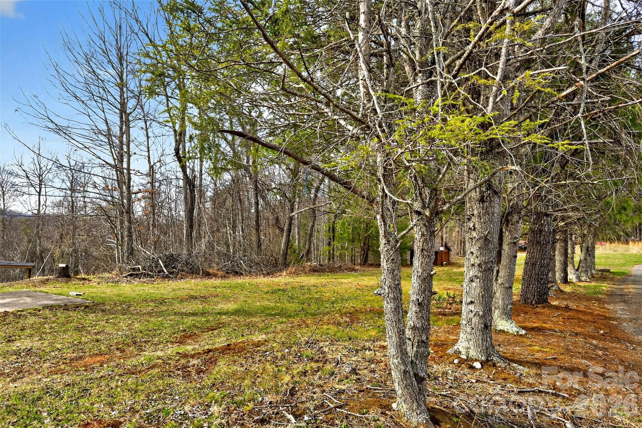 Tbd Red Bird Road Spruce Pine NC 28777