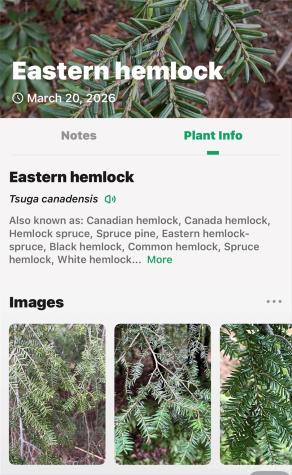 Tbd Red Bird Road Spruce Pine NC 28777